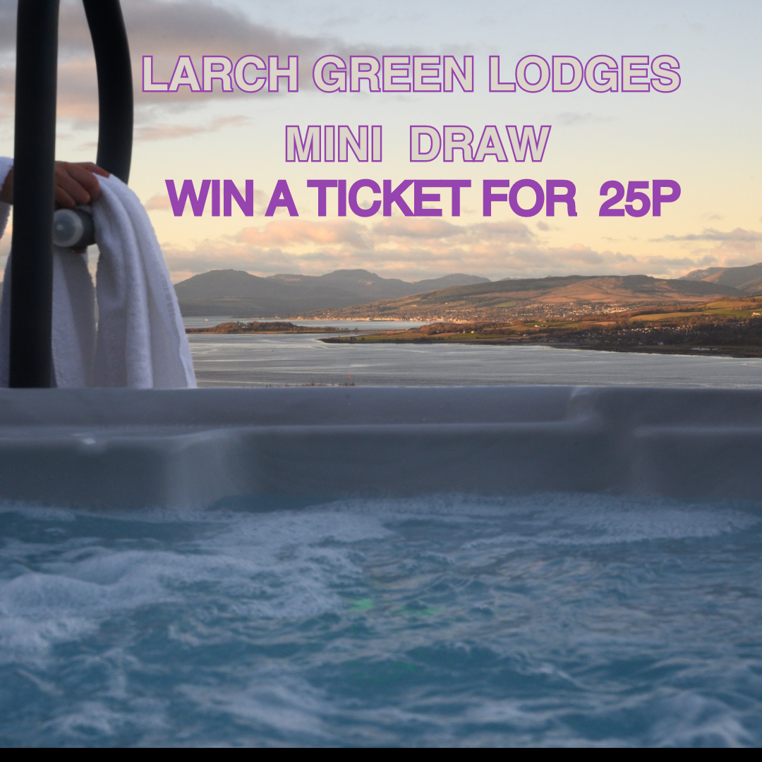 Larch Green Lodges mini draw 6 - Plum Competitions