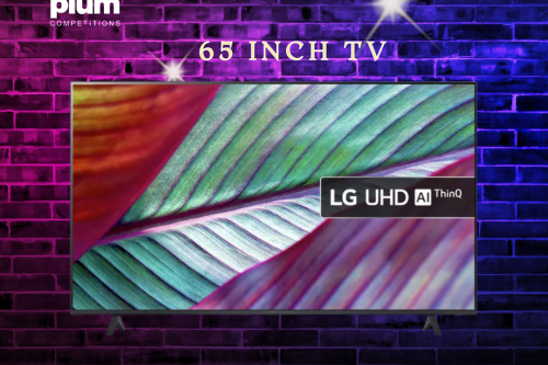 65 inch tv or cash alternative