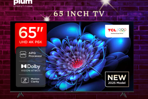 65 inch tv or cash alternative